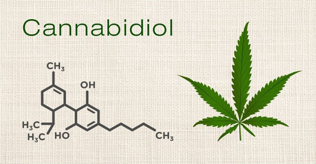 カンナビジオールの化学式と植物の麻のイメージ